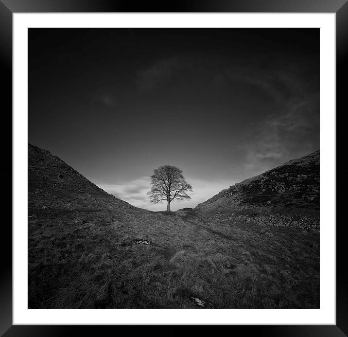 Sycamore Gap Framed Mounted Print by andrew bagley