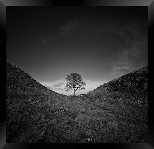 Sycamore Gap Framed Print by andrew bagley