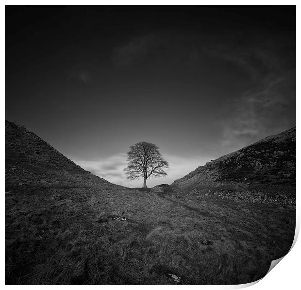 Sycamore Gap Print by andrew bagley
