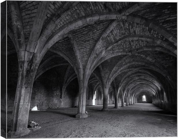 Fountains Abbey. Canvas Print by andrew bagley
