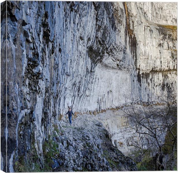 Malham Cove Canvas Print by Andy McGarry