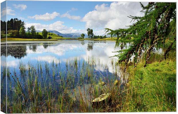 Reflections at Wise Een Tarn Canvas Print by Gary Kenyon