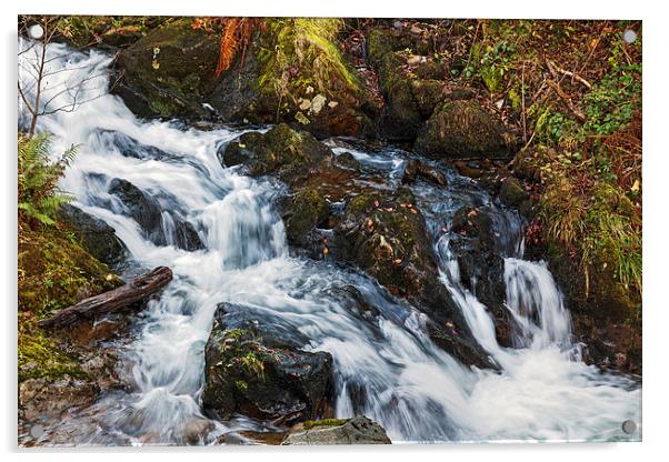 Babbling Beck Acrylic by Ian Duffield