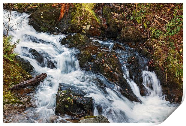 Babbling Beck Print by Ian Duffield