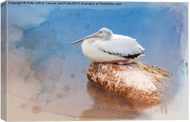 Pelican Peace Canvas Print by Betty LaRue