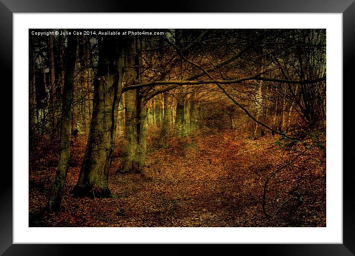 Creepy Woods Framed Mounted Print by Julie Coe