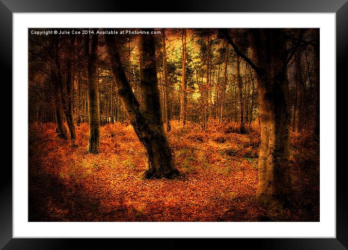 Creepy Woods 2 Framed Mounted Print by Julie Coe