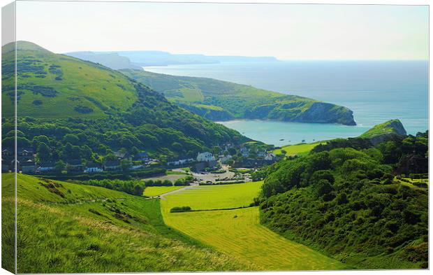 Lulworth Cove Canvas Print by Andrew Middleton