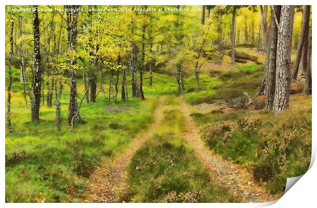 Track Through the Autumn Woods Print by Louise Heusinkveld