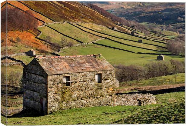 Swaledale Barns Canvas Print by Neil Young
