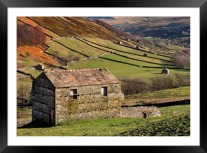 Swaledale Barns Framed Mounted Print by Neil Young