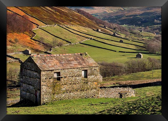 Swaledale Barns Framed Print by Neil Young
