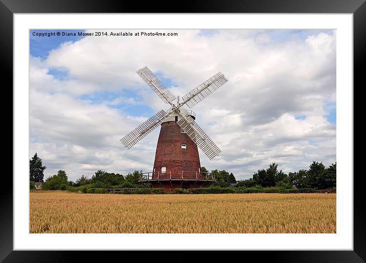 Thaxted Windmill Essex Framed Mounted Print by Diana Mower