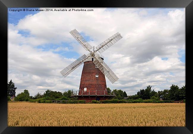 Thaxted Windmill Essex Framed Print by Diana Mower