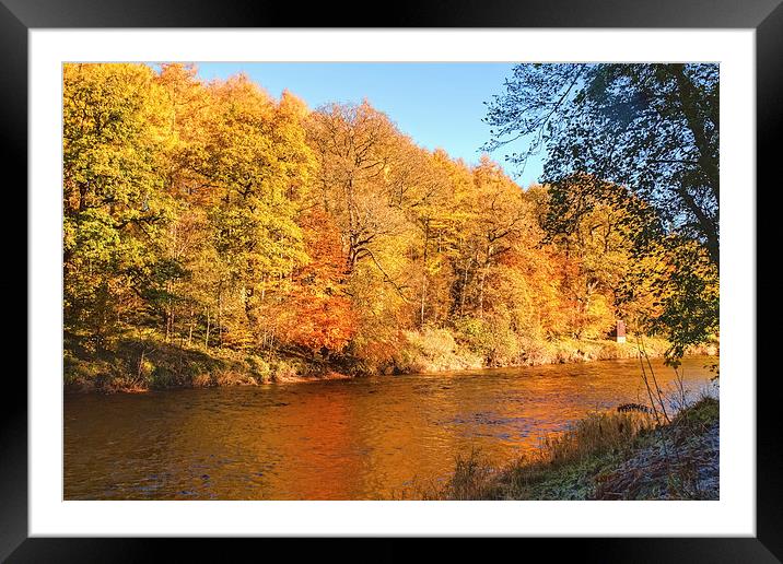 Autumn colours, riverside walk, November 2013 Framed Mounted Print by Hugh McKean