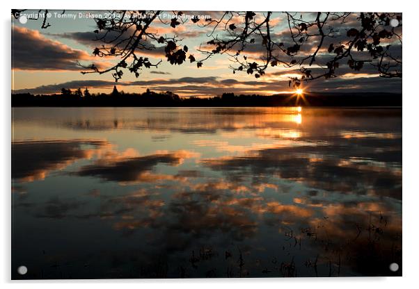 Serene Sunrise over Scottish Lake Acrylic by Tommy Dickson