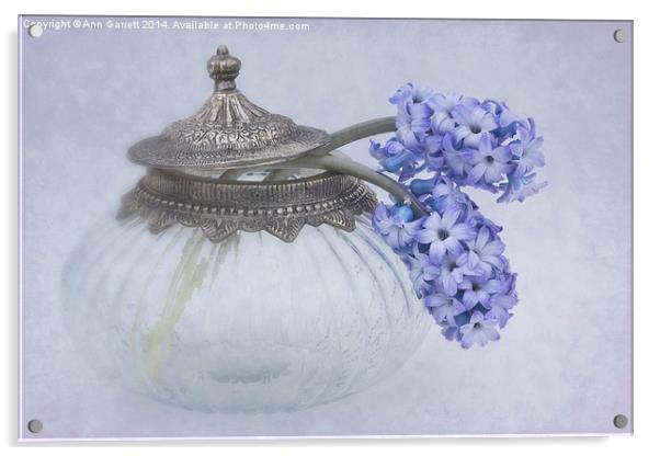 Two Hyacinth Flowers Acrylic by Ann Garrett