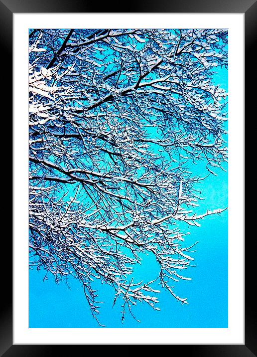 Winter Bliss Framed Mounted Print by Stephanie Clayton