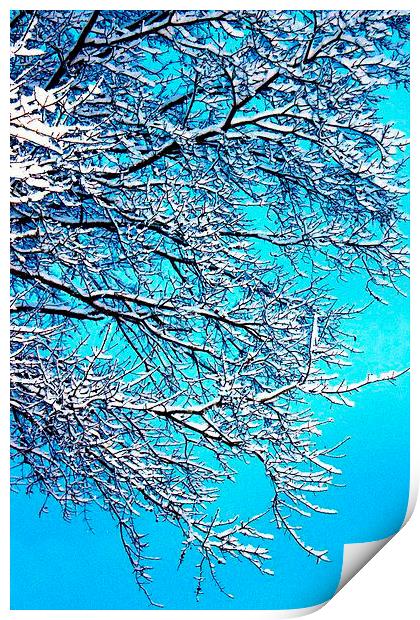 Winter Bliss Print by Stephanie Clayton
