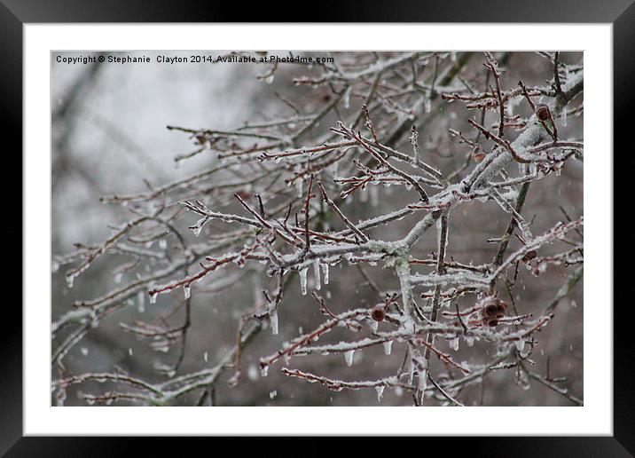 Icicles Framed Mounted Print by Stephanie Clayton