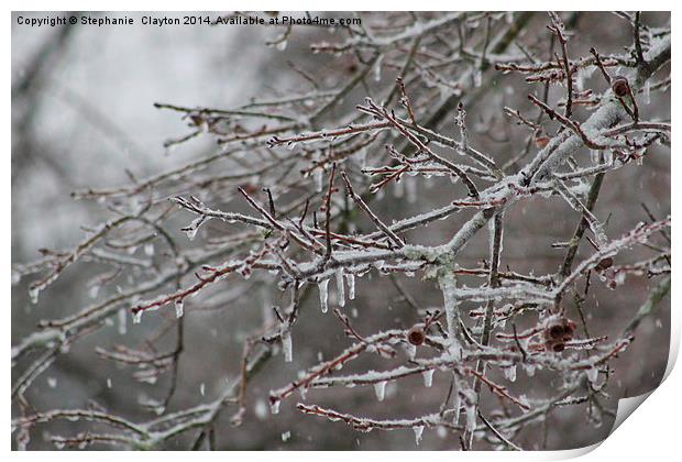 Icicles Print by Stephanie Clayton