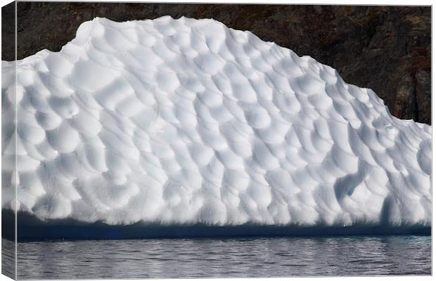 Iceberg in Cierva Cove Antarctica Canvas Print by Carole-Anne Fooks