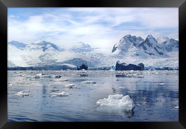 Glaciers in Cierva Cove Antarctica Framed Print by Carole-Anne Fooks
