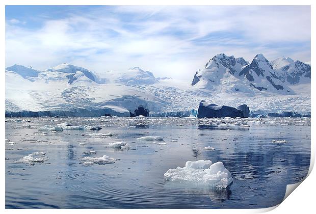 Glaciers in Cierva Cove Antarctica Print by Carole-Anne Fooks