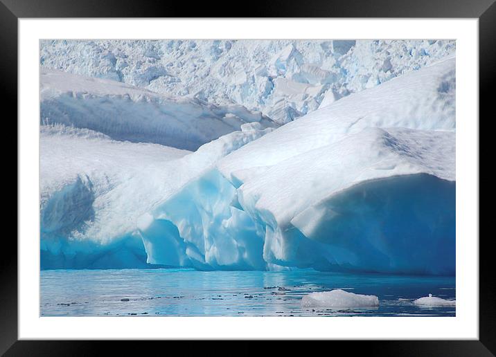 Iceberg Cierva Cove Antarctica Framed Mounted Print by Carole-Anne Fooks