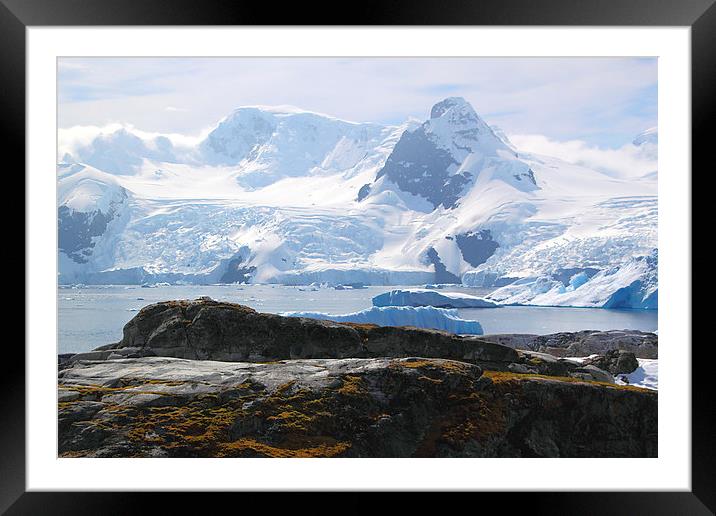 Cierva Cove Antarctica Framed Mounted Print by Carole-Anne Fooks