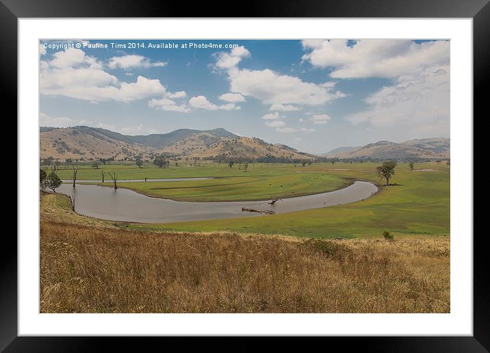 Mitta River Framed Mounted Print by Pauline Tims