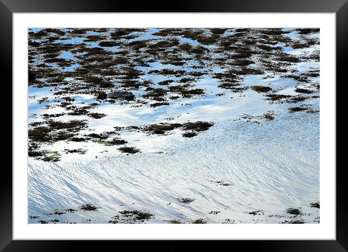 Blue sky reflection Framed Mounted Print by Lisa Shotton