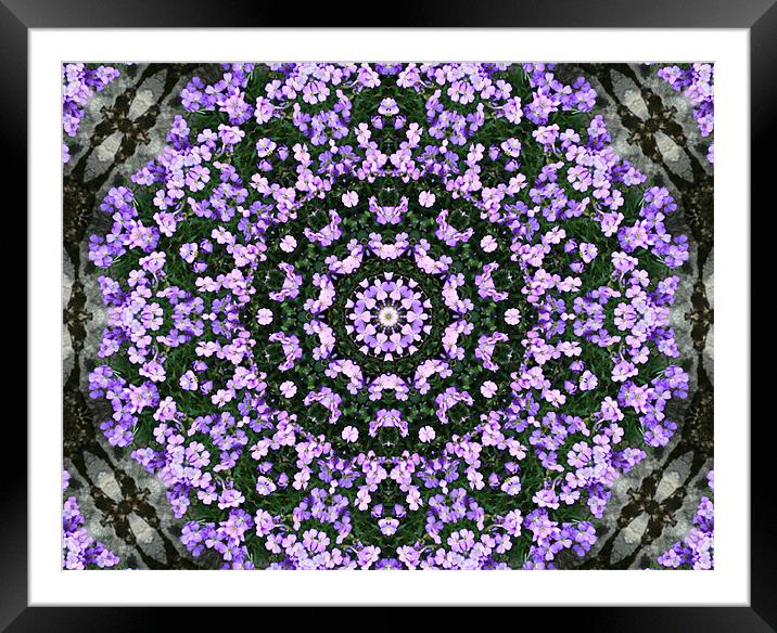 Purple abstract Framed Mounted Print by Ruth Hallam