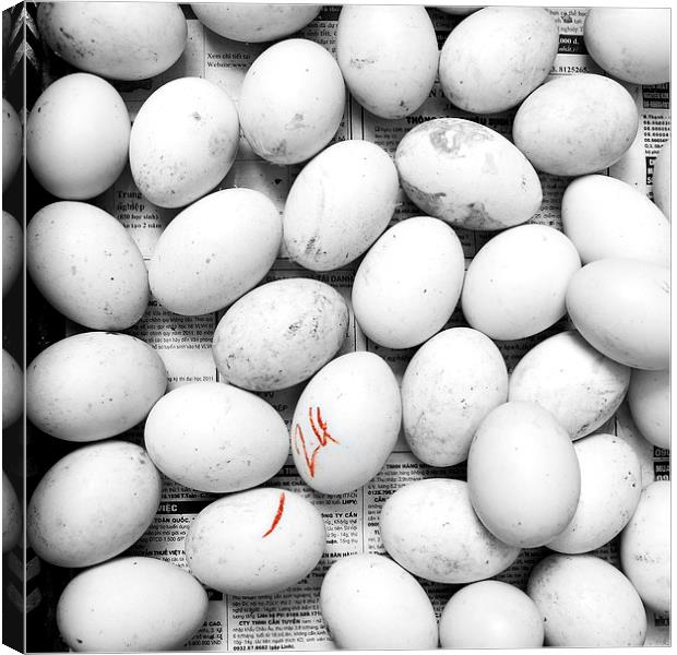 Duck eggs Canvas Print by richard pereira