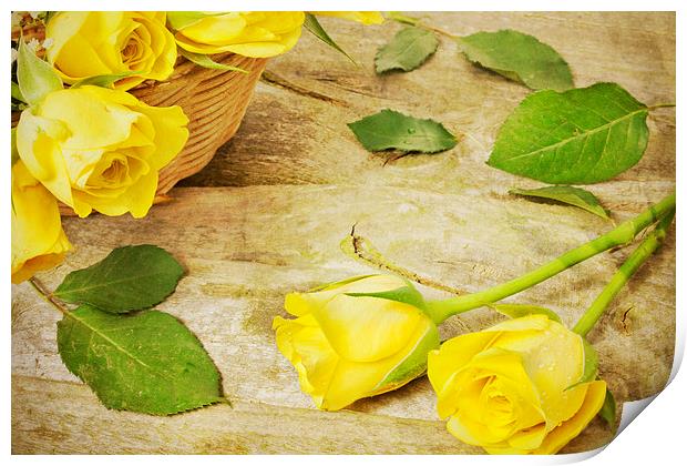 Yellow Roses Print by Paula Connelly
