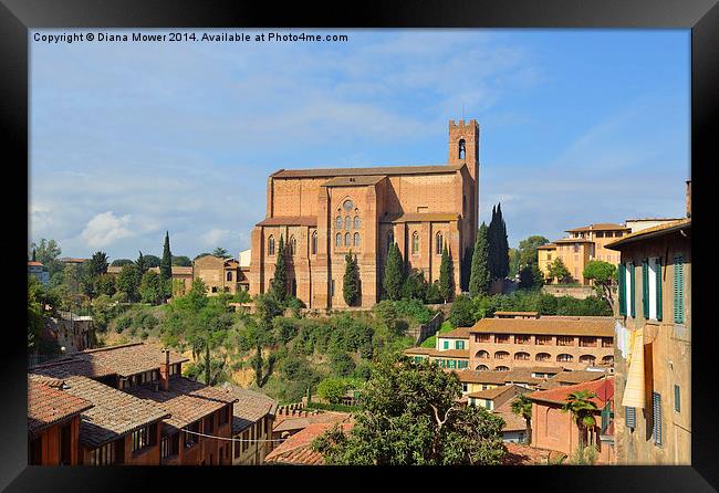 Siena Italy Framed Print by Diana Mower