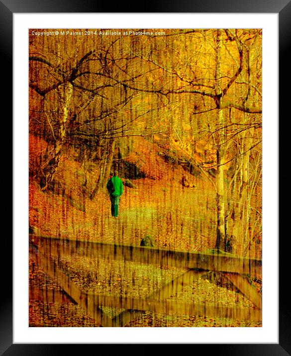 Through The Wood Framed Mounted Print by M Palmer