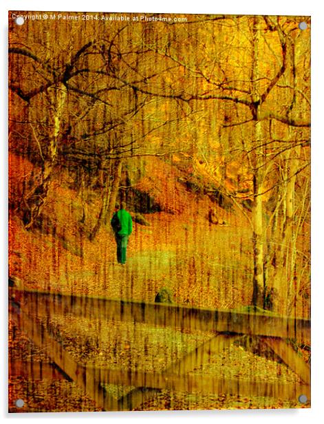 Through The Wood Acrylic by M Palmer