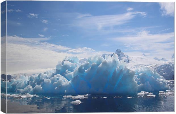 Cierva Cove Iceberg & Glaciers Canvas Print by Carole-Anne Fooks