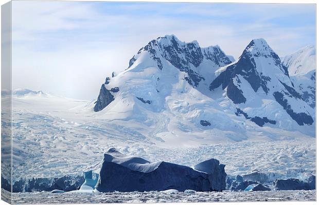 Cierva Cove Iceberg & Glaciers Canvas Print by Carole-Anne Fooks