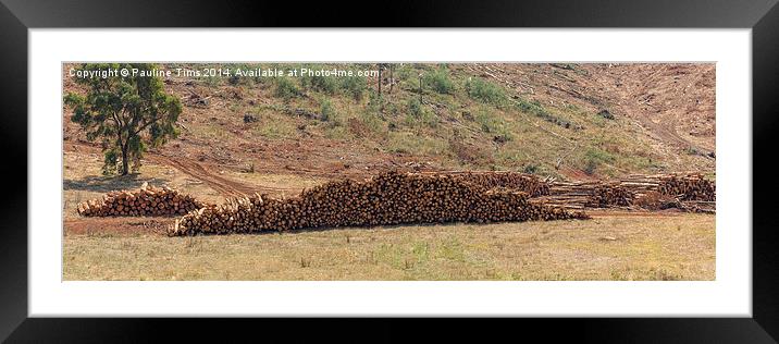 Logging in Victoria Framed Mounted Print by Pauline Tims