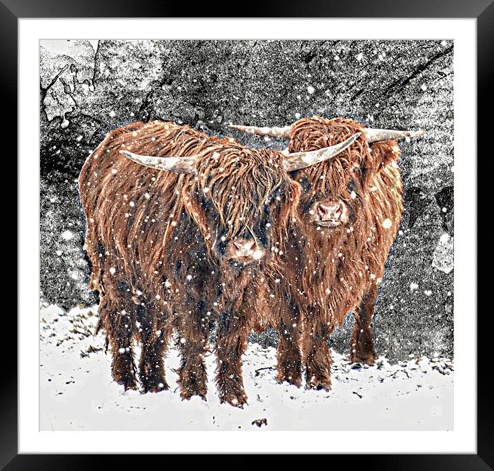 Friends of old Framed Mounted Print by Alan Mattison