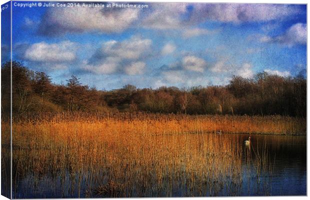 Swans At Selbrigg 3 Canvas Print by Julie Coe