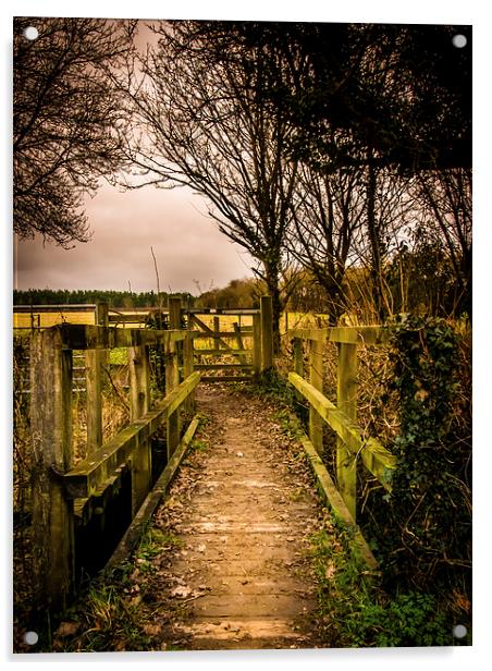 Wooden Footbridge Acrylic by Mark Llewellyn