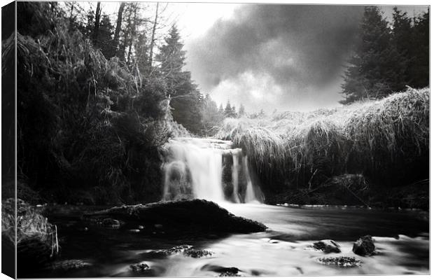 Enchanting Serenity of Glenglave Water Canvas Print by Les McLuckie