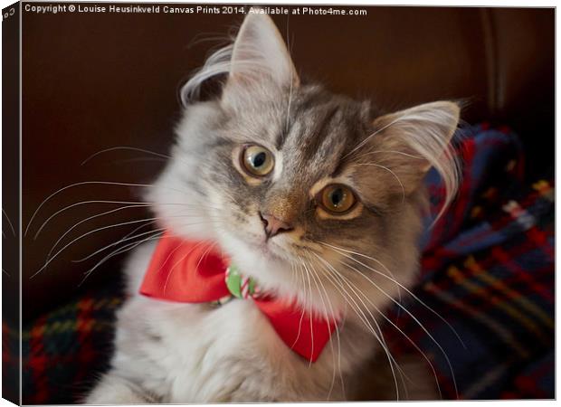 Kitten all dressed up for Christmas Canvas Print by Louise Heusinkveld
