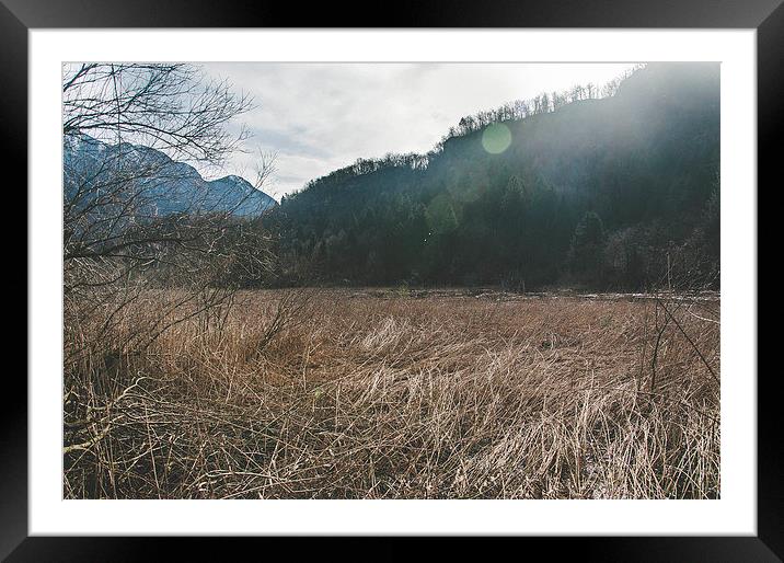 A swamp in the mountains Framed Mounted Print by Chiara Cattaruzzi