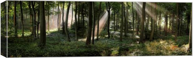 Panoramic Summer Woods Canvas Print by Ceri Jones