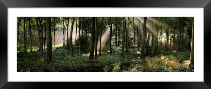 Panoramic Summer Woods Framed Mounted Print by Ceri Jones