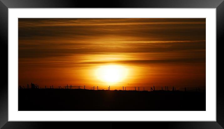 Sunset silhouette Framed Mounted Print by Lisa Shotton